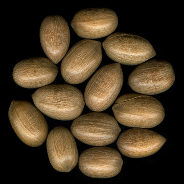 collection of pecan nuts in shells on black background