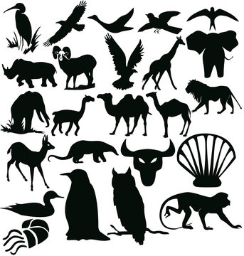 silhouettes - animals