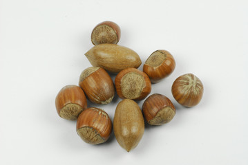 Pecan and Hazel Nuts