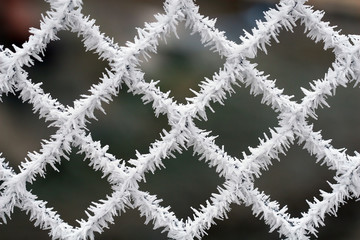 Frosty fence - winter texture