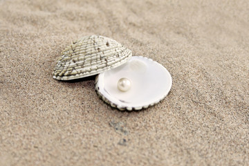 Fototapeta na wymiar Perła w muszli na piasku