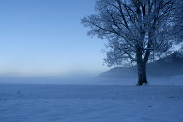 Winter scene 12