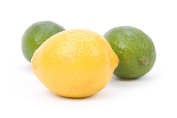Yellow Lemons and green Lime