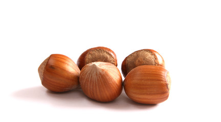 Hazelnuts on white