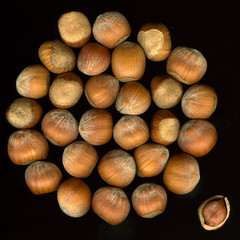 hazelnuts in shells on black with one cracked nut apart 