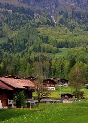 Paesaggio svizzera