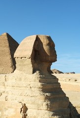 Egyptian sphinx