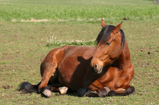 Repos au soleil