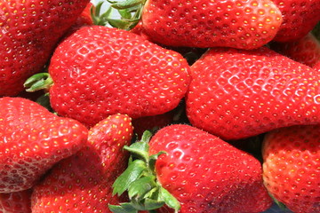 Erdbeeren