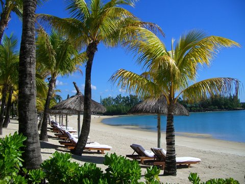 Mauritius - Ilot Mangenie (Trou d'eau Douce)