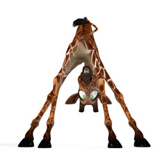 cute giraffe - Image contains a Clipping Path © Ralf Kraft