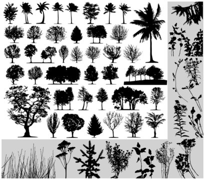 Trees, grass, plant vector on white background