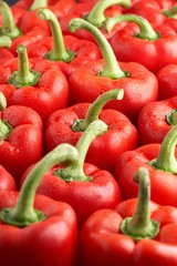 bell peppers upright