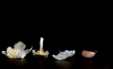 some garlic bulb and cloves on black background