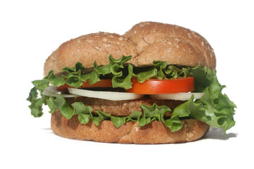 Vegetarian Soy Burger