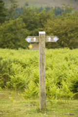View from the offas dyke long distance footpath hergest ridge