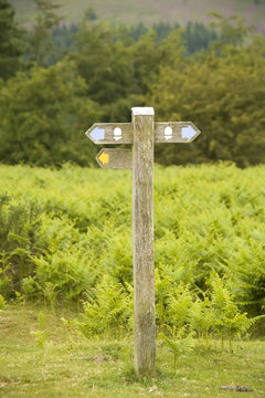 View From The Offas Dyke Long Distance Footpath Hergest Ridge