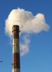 flue pipe