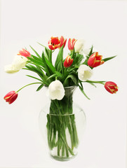 Tulips In Vase