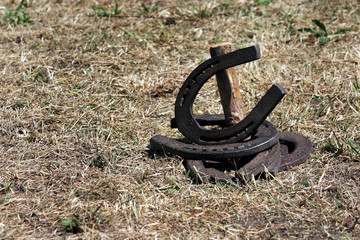 Iron horseshoes