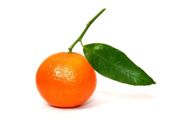 Mandarine