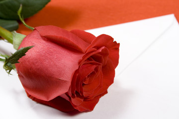 red rose and envelope on red background