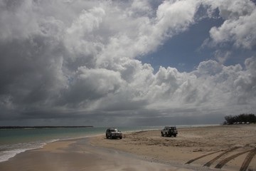 Fraser island safari