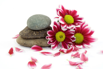 Obraz na płótnie Canvas zen spa kamienie z kwiatami