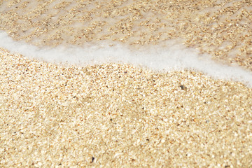 background of seashore with shells and wave