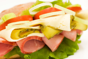 Sandwich close-up. Low DOF. Junk food image series