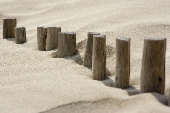 Erosion du littoral : ganivelles de protection des dunes