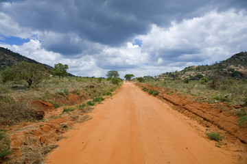 Kenya :  réserve du tsavos : piste