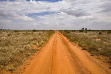 Kenya : parc Tsavos : piste