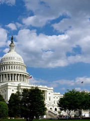 Naklejka premium United States Capitol Building_Front