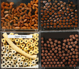  candy boxes in a shop.