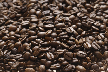 grains de café 1