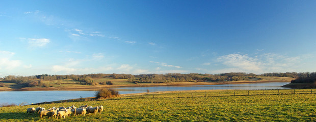 landscape 4