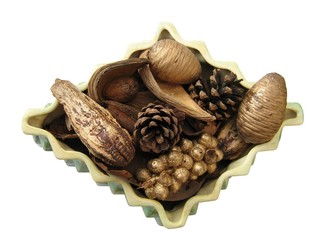Fir Cone Display