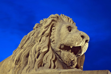 pont des chaînes, budapest, lion