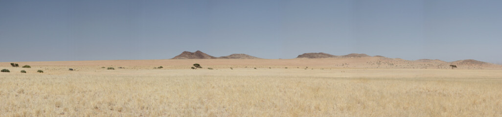 Fototapeta na wymiar Krajobraz pustyni w Namibii