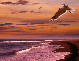People walking the beach at sunset