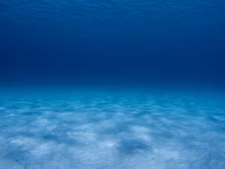 Meubelstickers Underwater scene in the Caribbean Sea © DJ