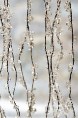 Silver stars chain on a glittering background