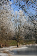 Fototapeta na wymiar Wiejski staw
