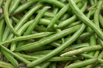 Fresh Green Beans