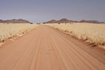 Landschaft in Namibia