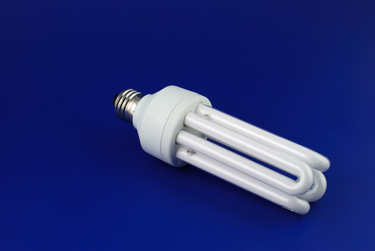 Lamp. An electric economic lamp on a dark blue background