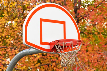 Basketball hoop with with autumn trees in background © Vivid Pixels