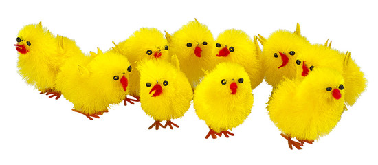 poussins en peluche