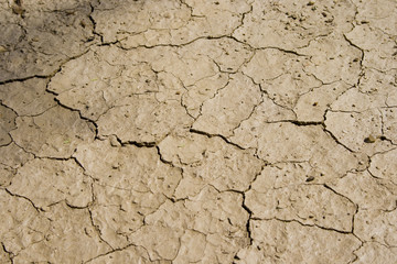 cracks in the mud of the Kalahari